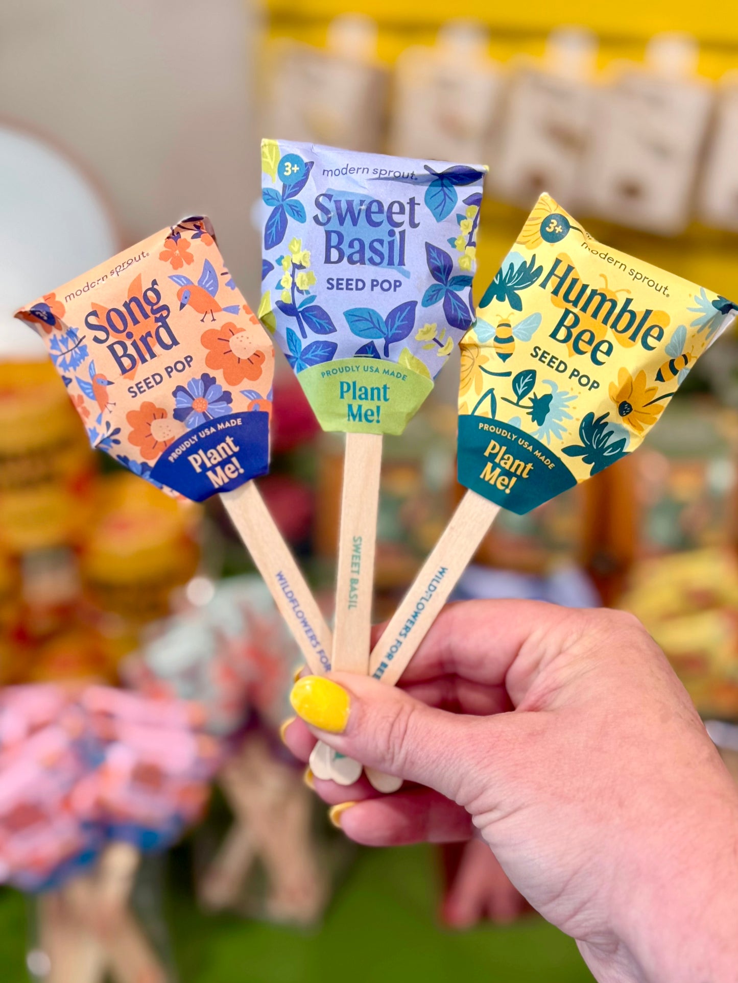 Garden Seed Pop: Sweet Basil