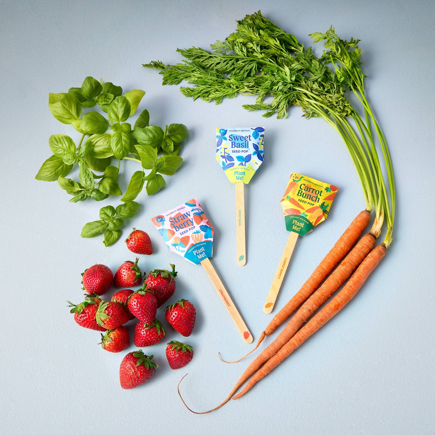 Garden Seed Pop: Sweet Basil