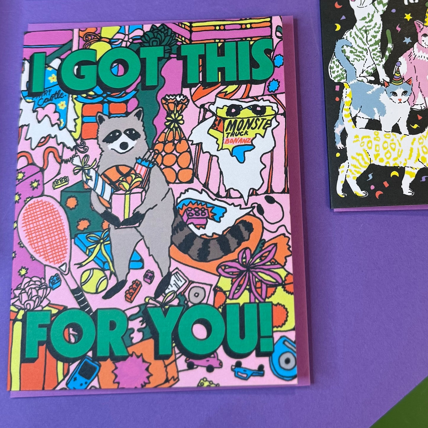 I Got This For You Raccoon Card