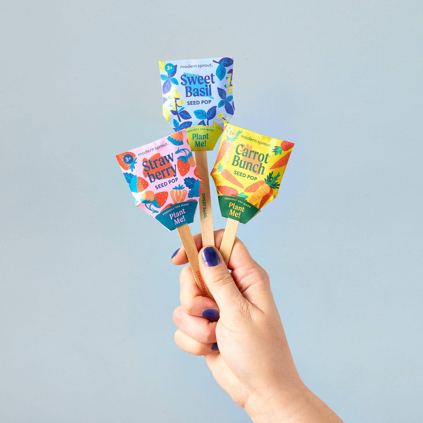 Garden Seed Pop: Sweet Basil