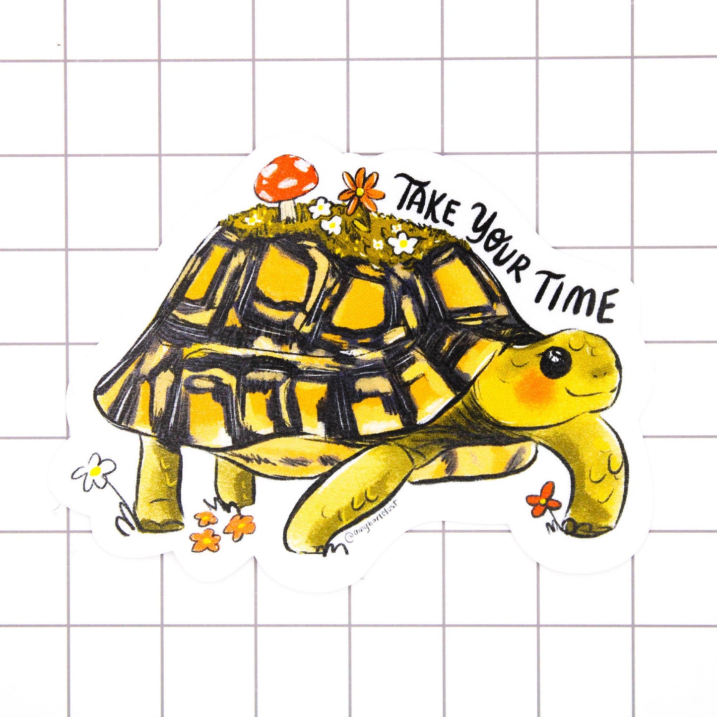 Take Your Time Tortoise Sticker