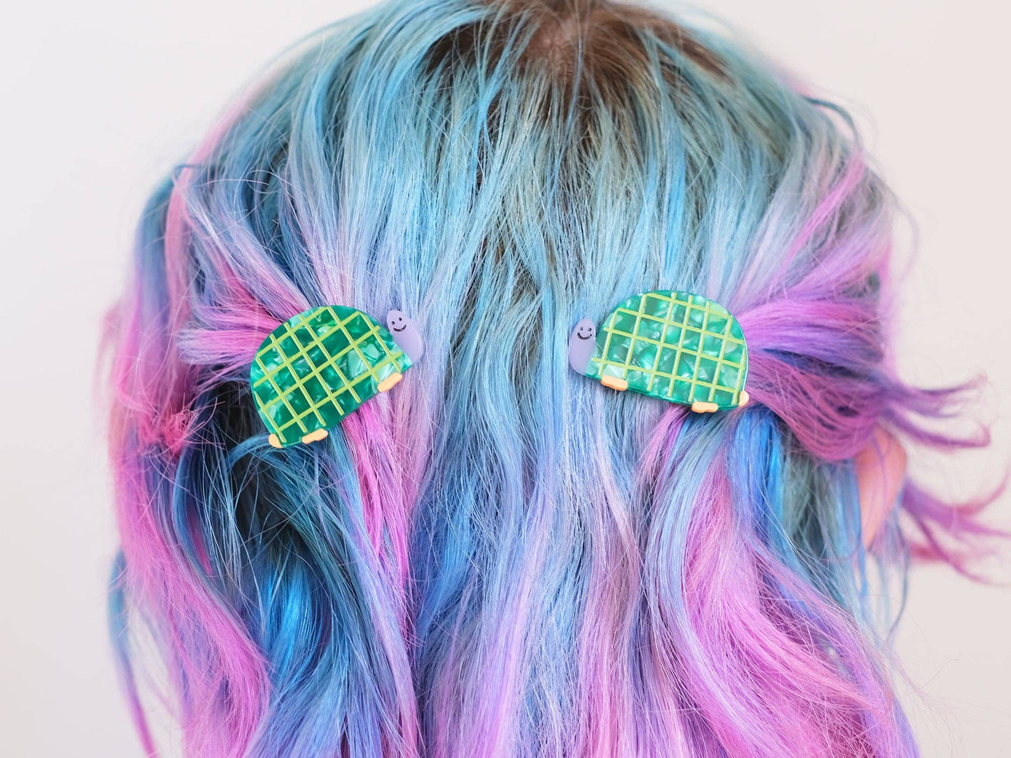 Tortoise Hair Slide Clips