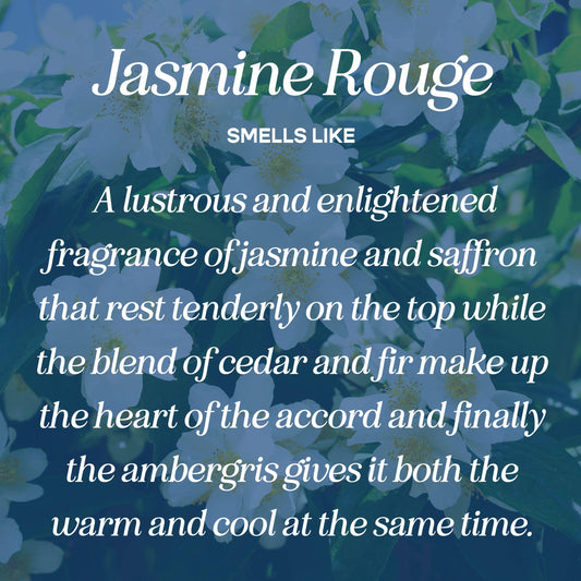 Hot Girls Read Candle (jasmine • saffron • cedar • amber)