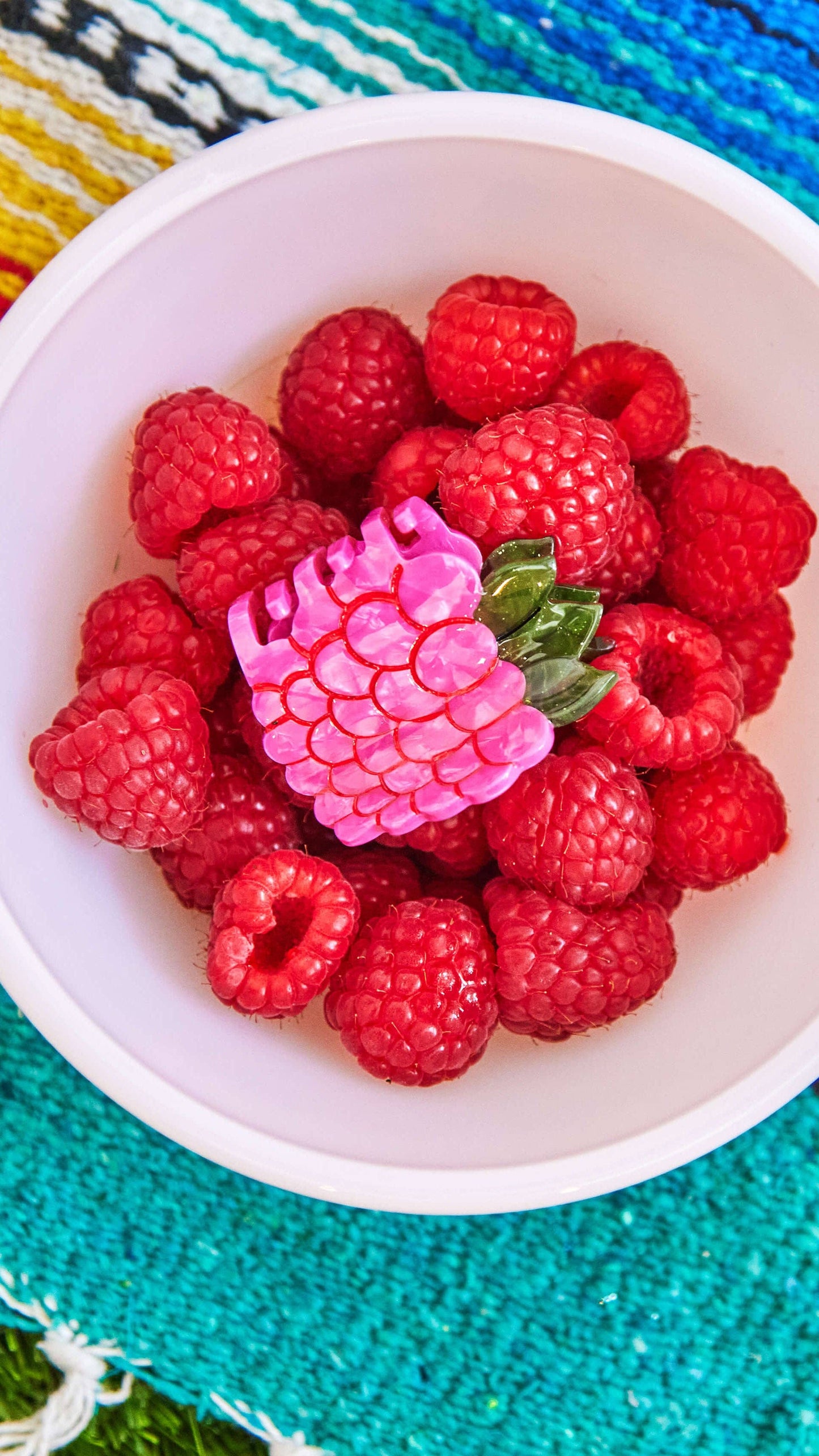 Raspberry Hair Claw (Mini)