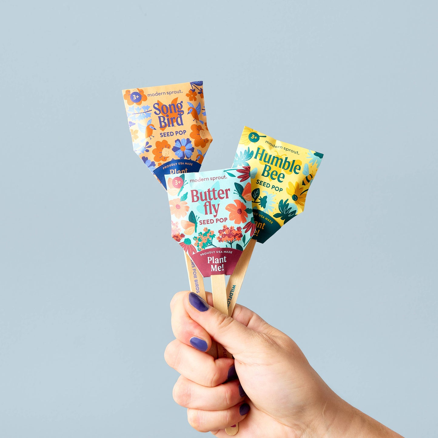 Pollinator Seed Pop: Humble Bee