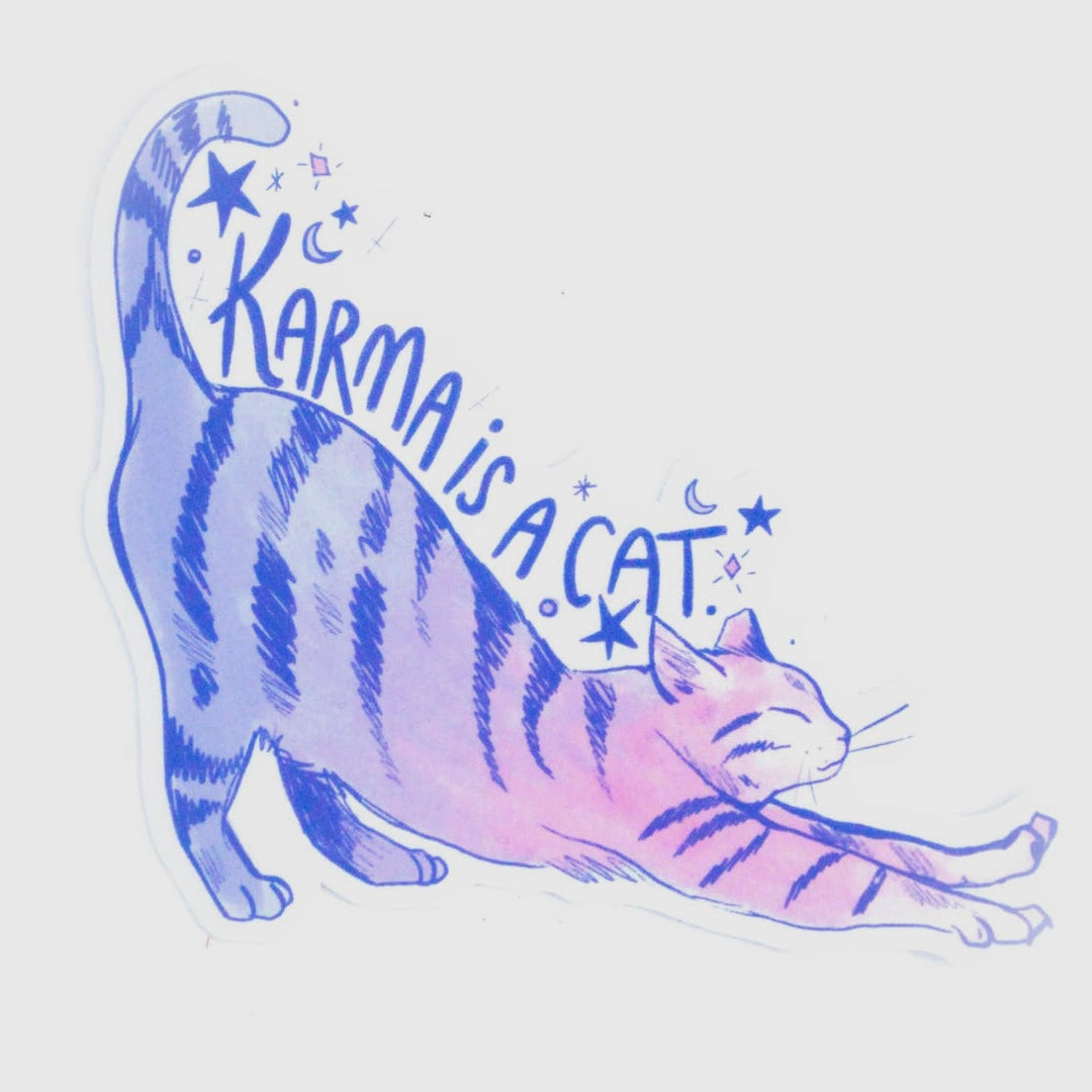 Karma is a Cat Sticker  Taylor Swift Vinyl Stickers – handsomeprintsdesign