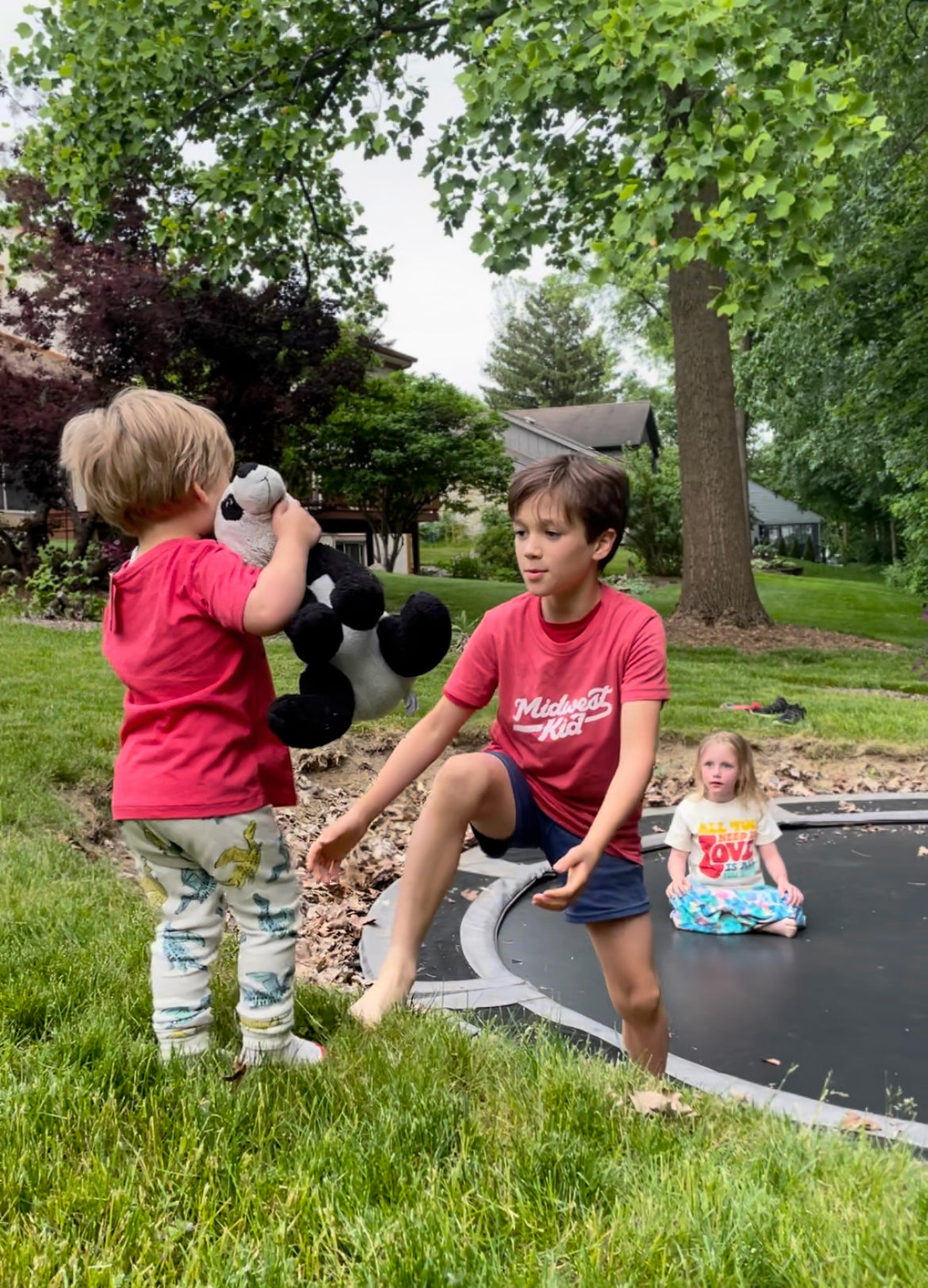 Midwest Kid Tee (Youth)