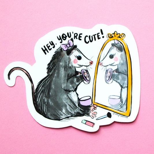 Pretty Pretty Possum Vinyl Sticker