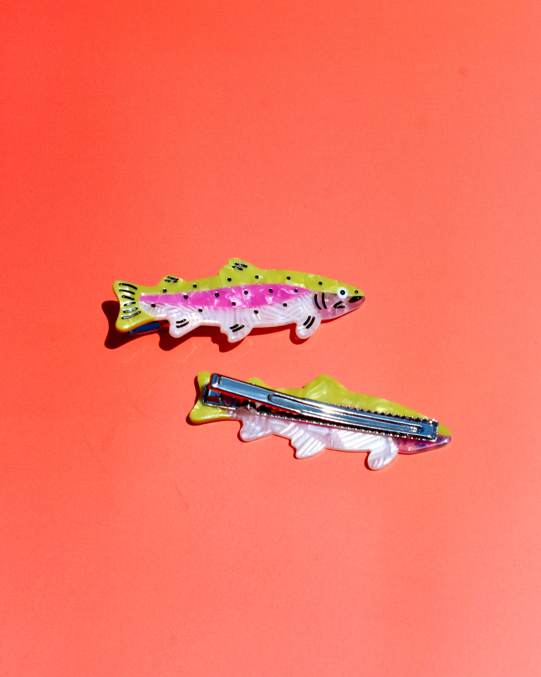 Rainbow Trout Hair Clip Set