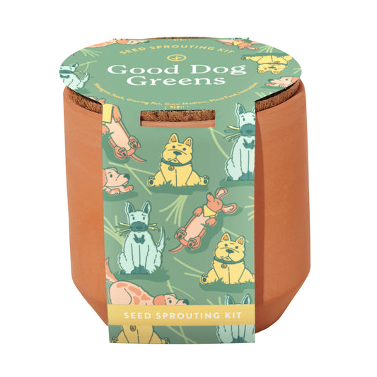 Tiny Terracotta Pet Grow Kits: Good Dog Greens