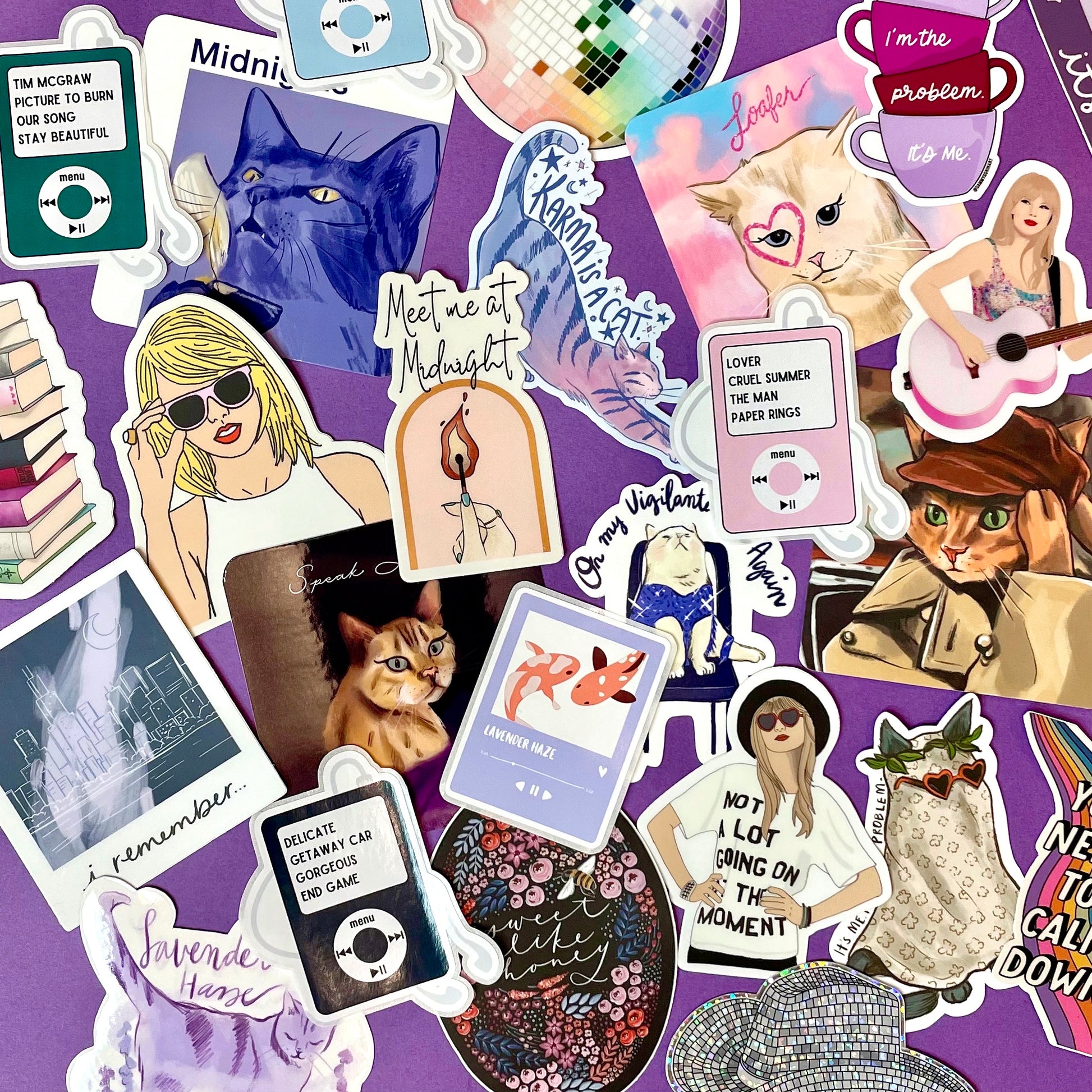 Taylor Swift Sticker Albums with Cat