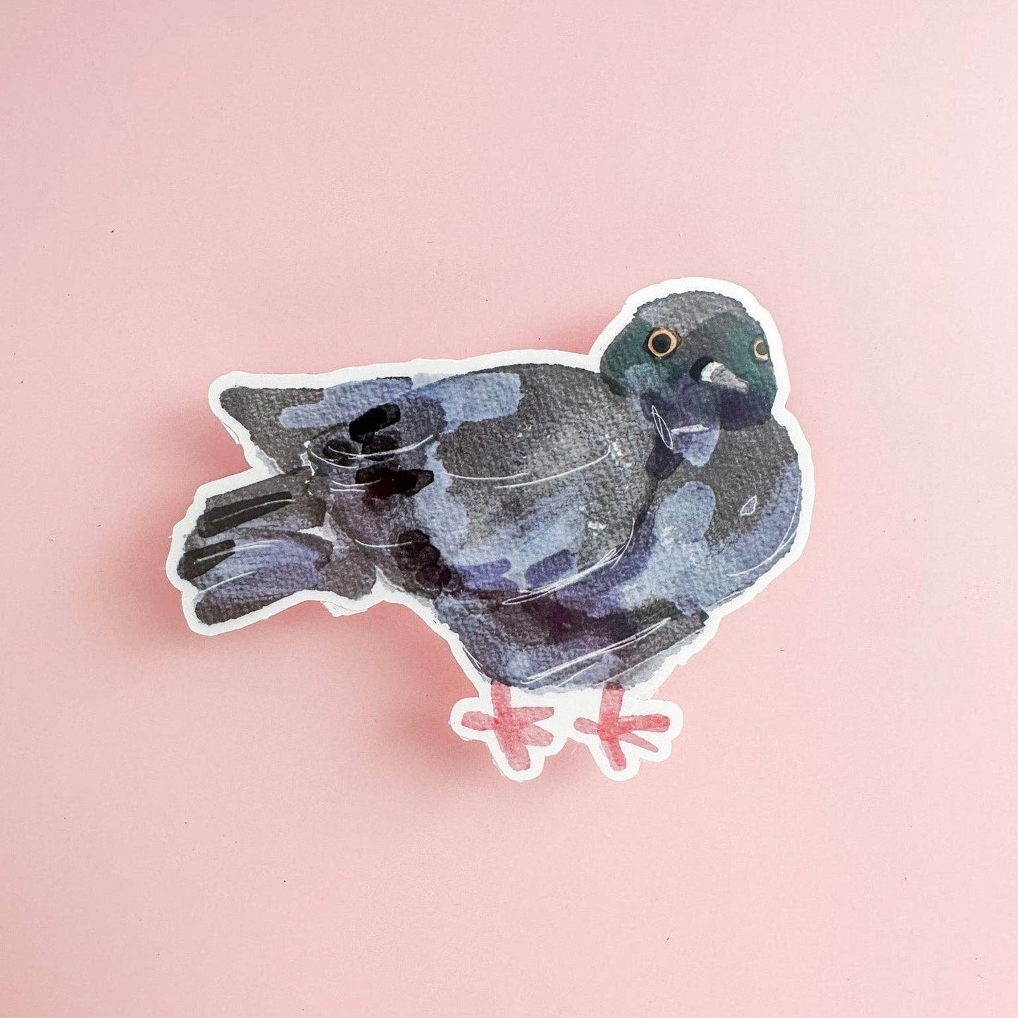Pigeon Sticker