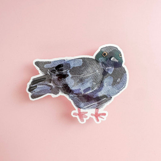 Pigeon Sticker