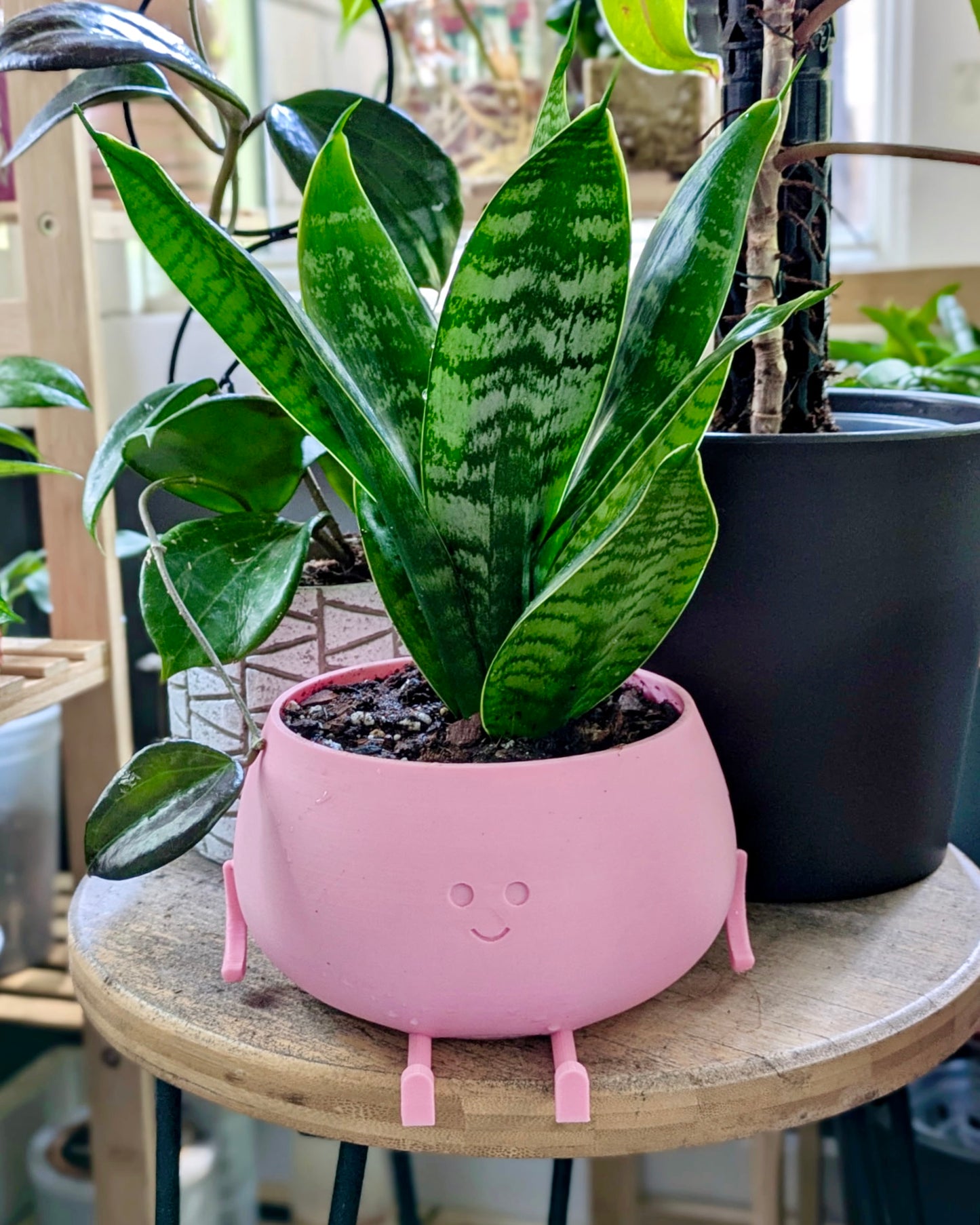 Smiley Planter (Pink)