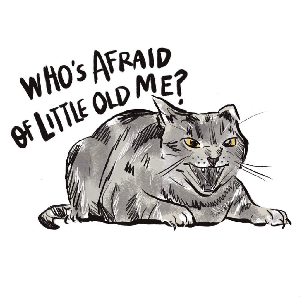 Swiftie Cat “Who's Afraid of Little Old Me” Sticker