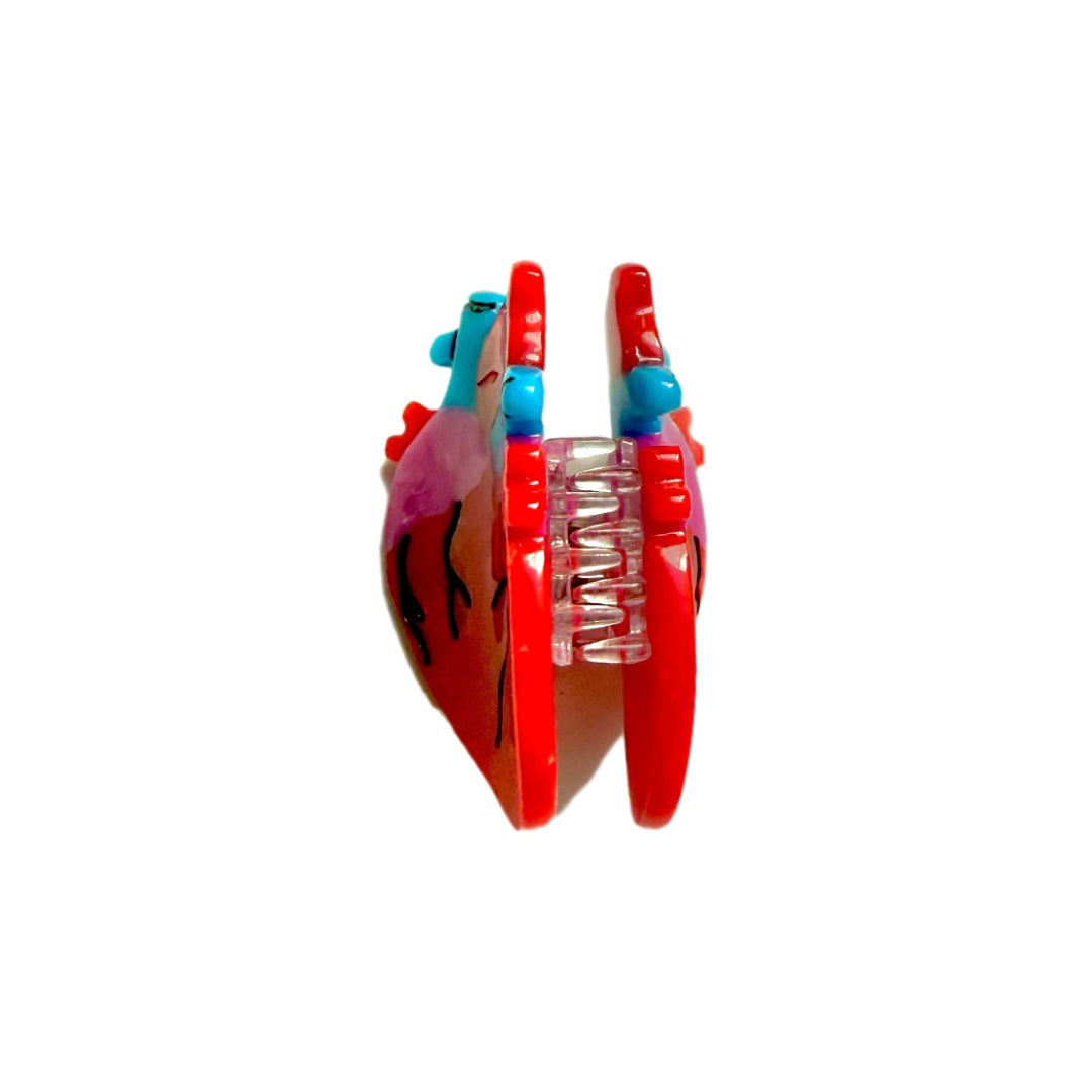 Anatomical Heart Mini Claw Clip