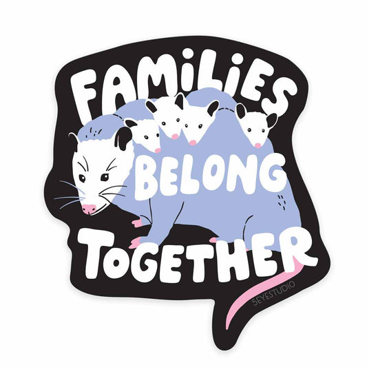 Families Belong Together Possum Sticker