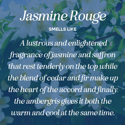 Hot Girls Read Candle (jasmine • saffron • cedar • amber)