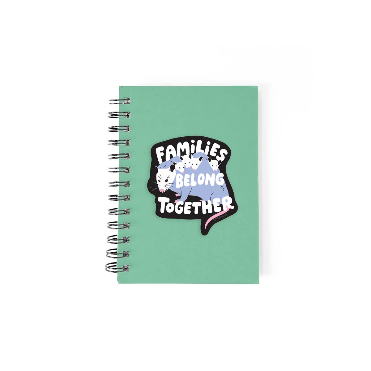 Families Belong Together Possum Sticker