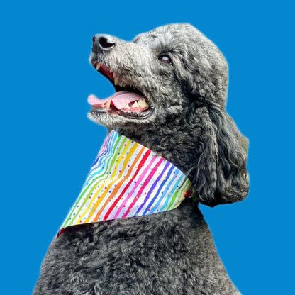Pet Bandana: Rainbow Confetti